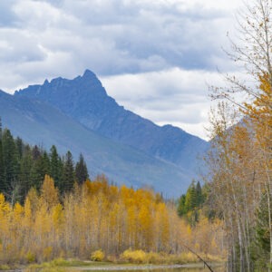 A lake with colorful trees surroundings