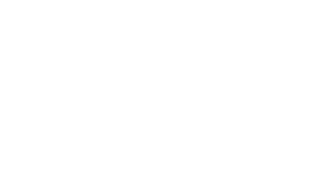 Balise Consulting