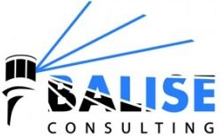 Balise Consulting